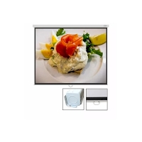 Brite Screen Manual MAS-1515, MAS-1818, MAS-2121, MAS-2424, MAS-3030